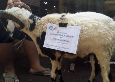 harga paket aqiqah 2022